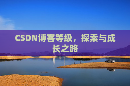 CSDN博客等级,探索与成长之路